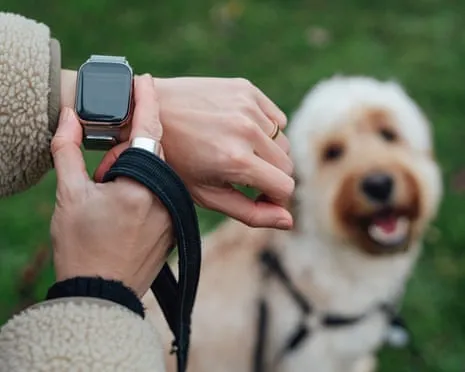 The Truth Regarding Wearable Tech? Life Improves Without a Nagging Zealot on Your Wrist